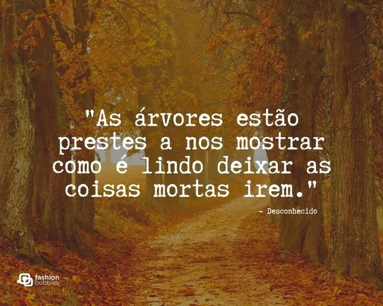 Card com paisagem de árvores e chão lotados de folhas amarelas e laranjas, com frase "As árvores estão prestes a nos mostrar como é lindo deixar as coisas mortas irem -Desconhecido"