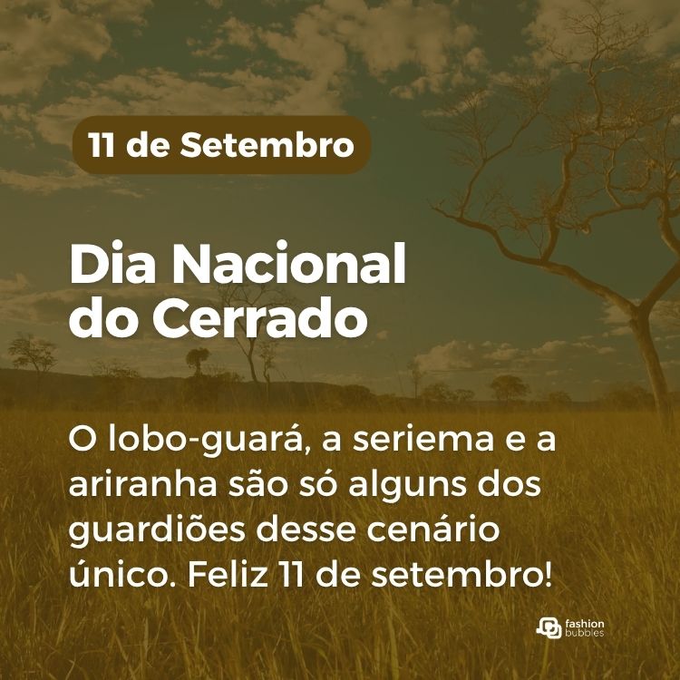 Foto do cerrado com filtro marrom e frase: O lobo-guará, a seriema e a ariranha são só alguns dos guardiões desse cenário único. Feliz 11 de setembro!