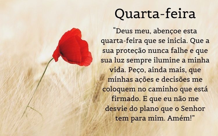 oração de bom dia sobre foto de flor vermelha