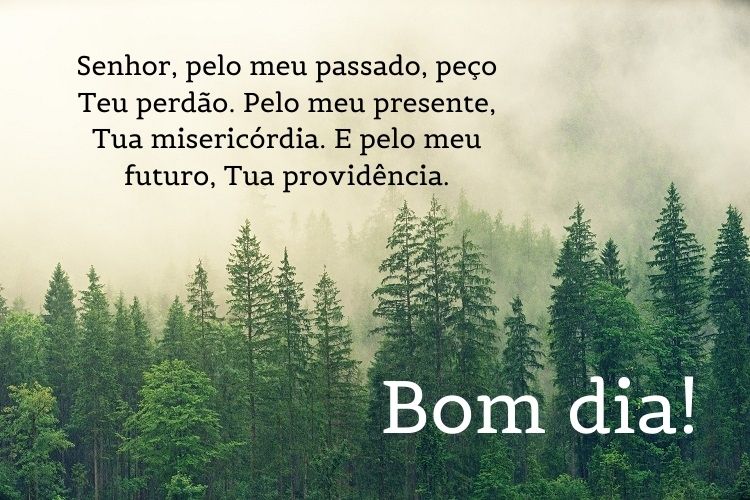 Foto de floresta de pinheiros com frase
