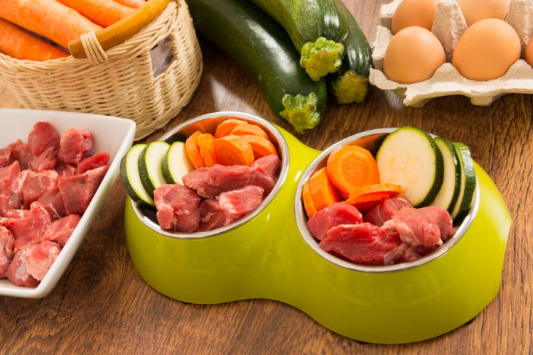 Tigela dupla verde cheia de alimentação natural para cães, contendo carne crua, cenoura fatiada e abobrinha. Ao redor, mesa de madeira com ingredientes frescos como ovos, abobrinhas, cenouras em cesto e carne em prato, compondo uma refeição saudável.





