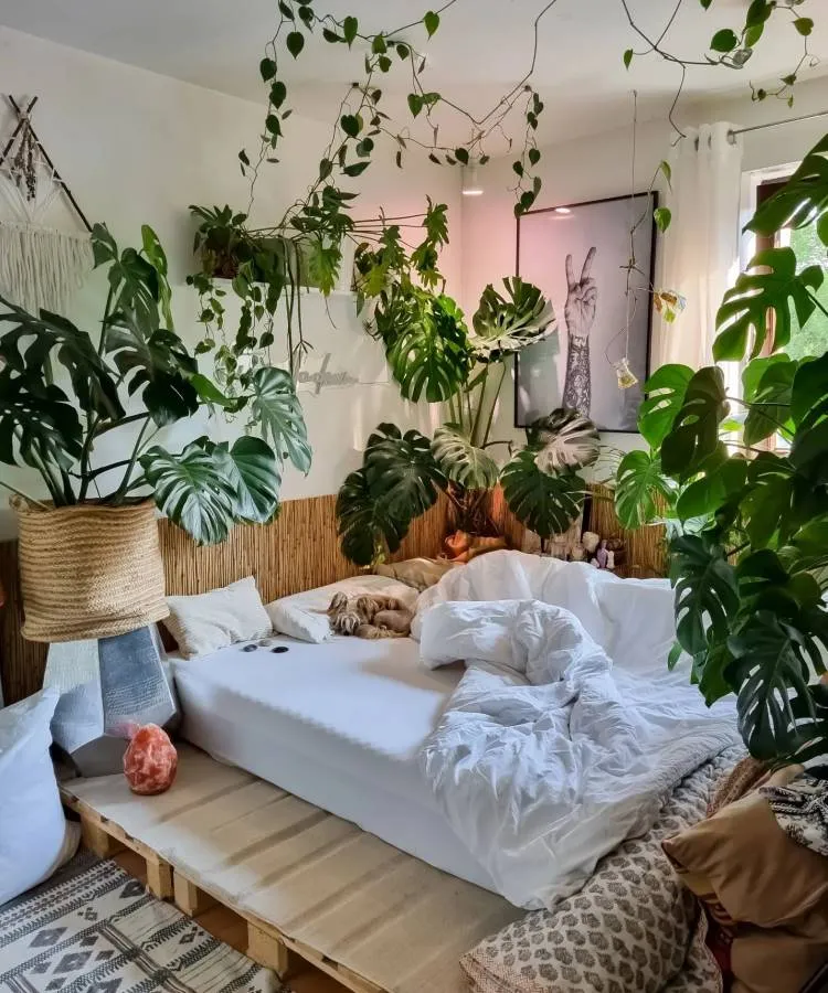 Cama de pallet com muitas plantas ao redor e penduradas, entre elas jiboia e costela-de-adão