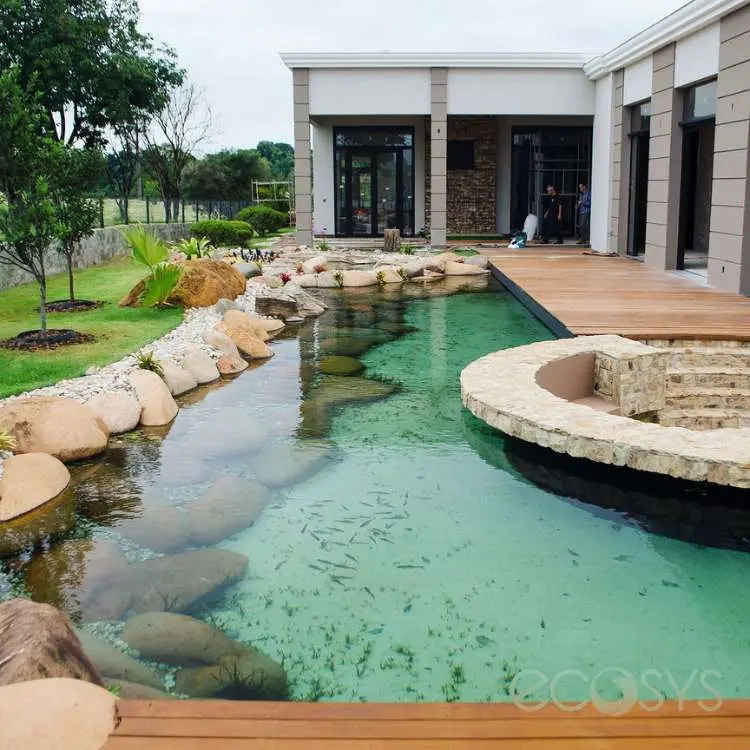 Piscina biológica curva, feita no quintal de uma casa branca. 