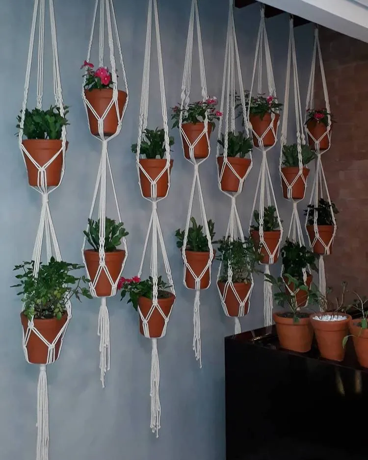 vários vasos de plantas terracota suspensos por suportes de macramê brancos. Os suportes estão pendurados no teto e seguram cada vaso individualmente. As plantas nos vasos são verdes e exuberantes, algumas com flores rosadas visíveis. Tudo isso está em contraste com uma parede ao fundo pintada de azul claro. Há uma estrutura preta visível no canto inferior direito da imagem.