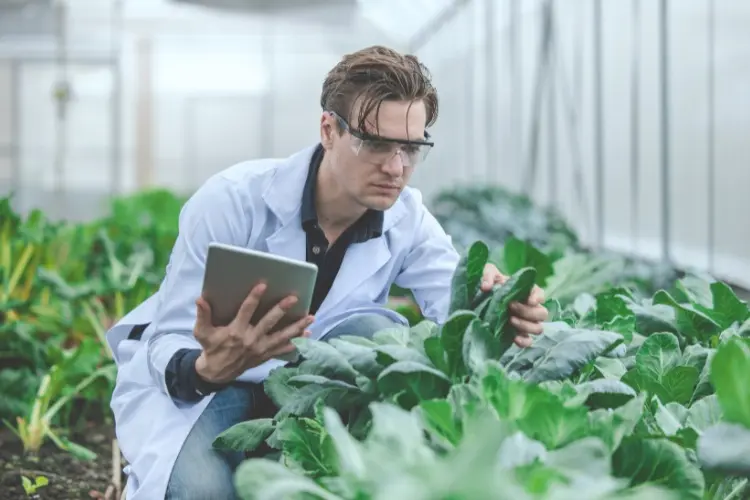 Homem de pele clara usando jaleco, mexendo em plantas e segurando tablet 