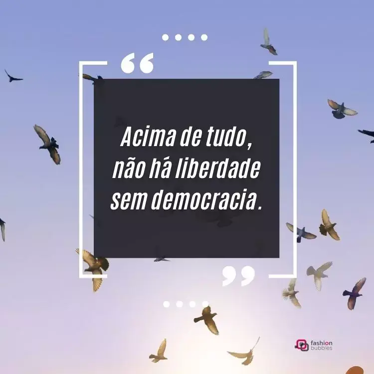 foto de pássaros voando com frase de democracia e liberdade