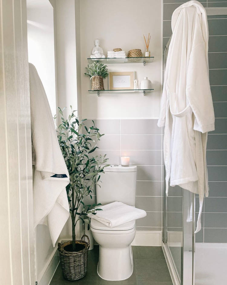 Banheiro simples decorado com vaso médio de plantas e prateleiras acima do vaso.