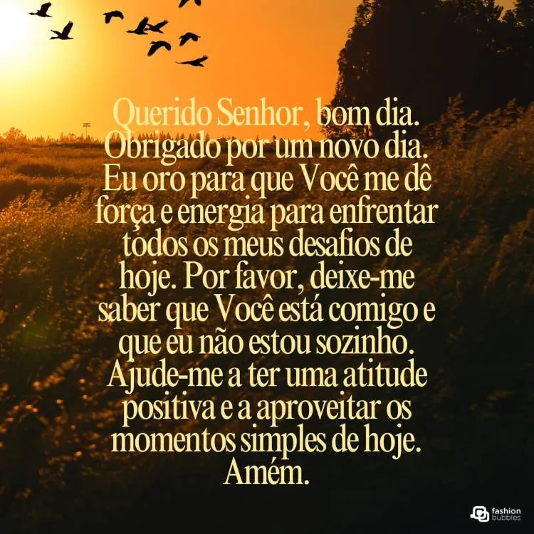 A imagem mostra um campo ao amanhecer, com o céu dourado e pássaros voando. O texto é uma oração matinal que agradece a Deus por um novo dia, pedindo força e energia para enfrentar desafios. A oração também pede a certeza da presença divina, ajuda para manter uma atitude positiva e aproveitar os momentos simples. Amém.


