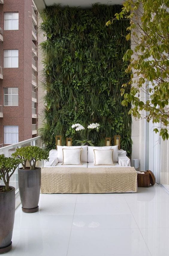 Plantas em vasos e jardim