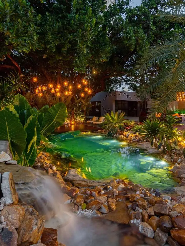 Piscina biológica com muitas pedras e plantas ao redor. 