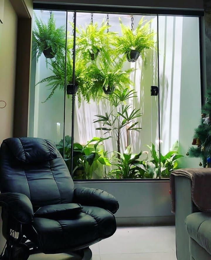 Jardim de inverno com samambaias suspensas e vasos no chão, atrás de poltrona preta na sala 