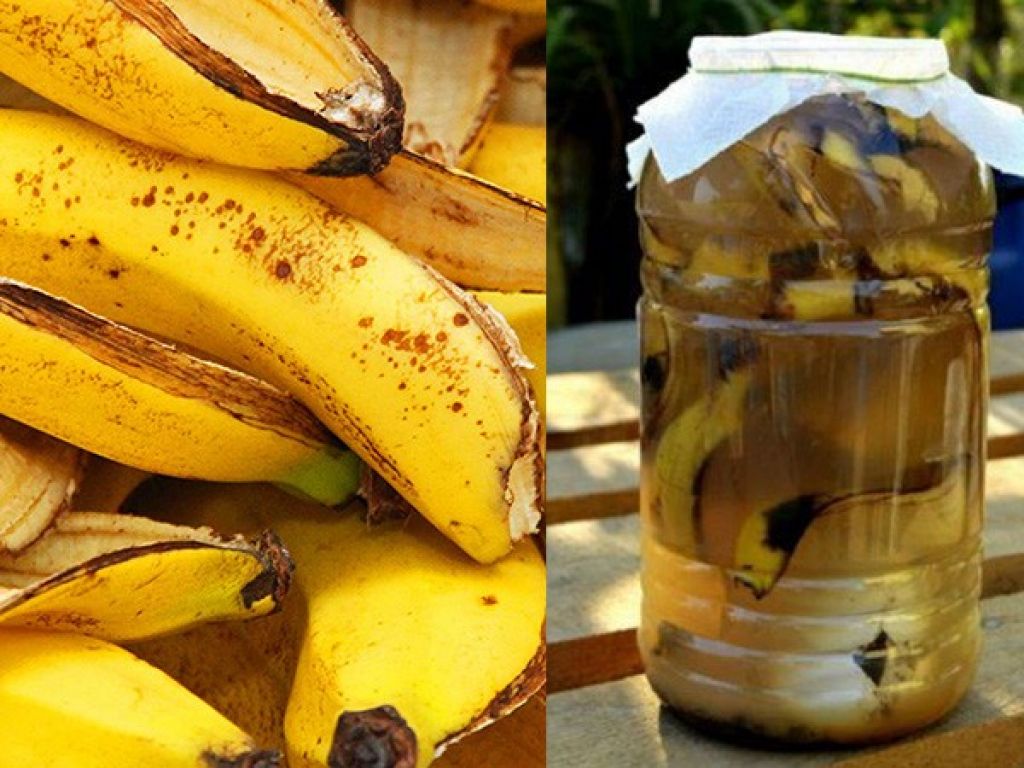 vinagre de banana da terra