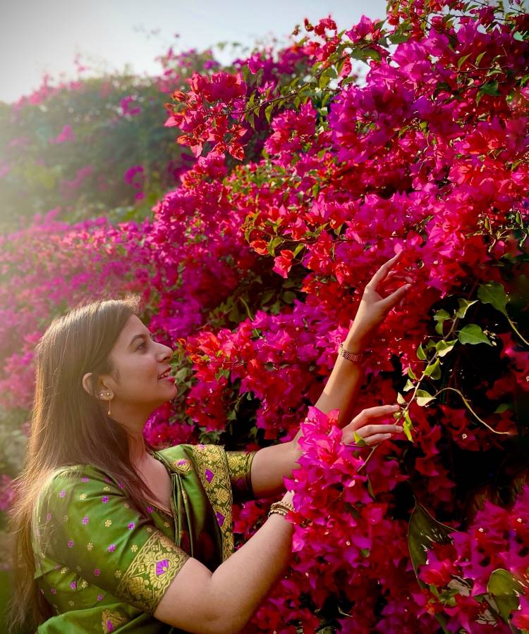 Uma mulher com um sari verde-oliva e dourado admira e toca uma exuberante moita de buganvílias rosa e fúcsia. A luz do sol brilha através das flores vibrantes, criando uma cena pitoresca e colorida.







