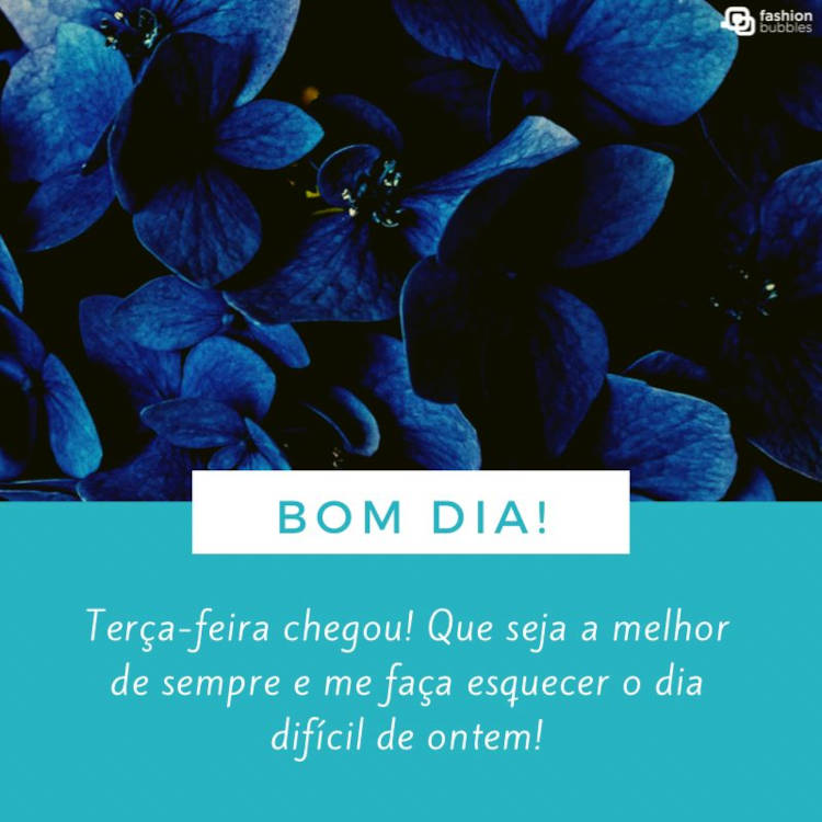 Foto de flores azuis e frase "Bom dia! Terça-feira chegou! Que seja a melhor de sempre e me faça esquecer o dia difícil de ontem!"