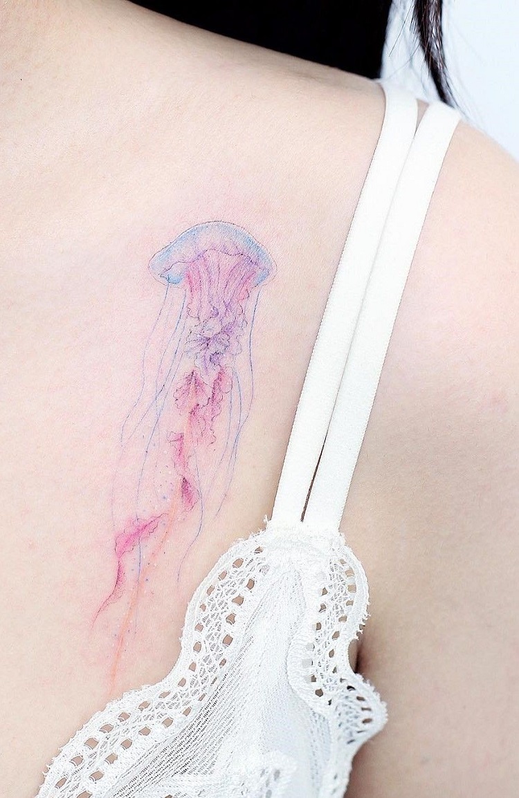 água-viva colorida