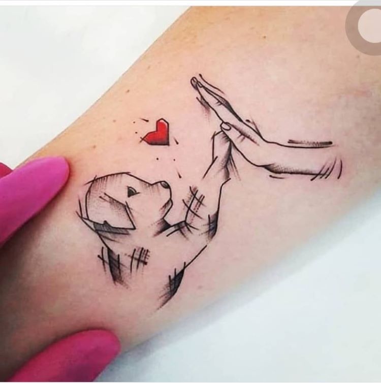 tatuagem feminina no braço/ pets 