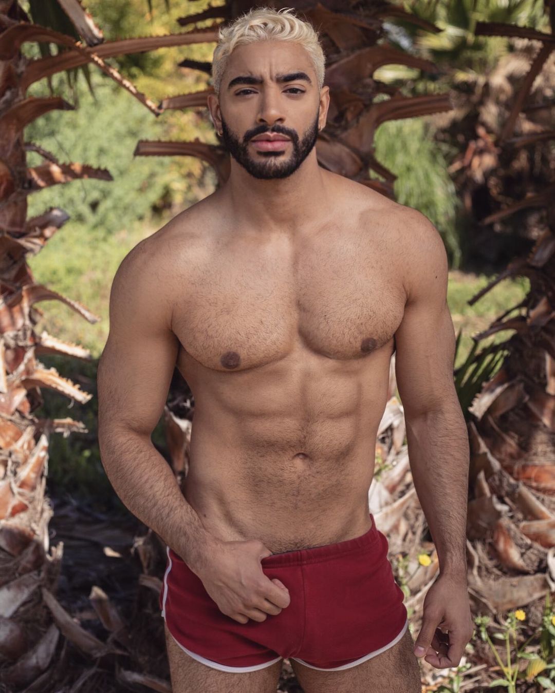 Laith Ashley. Laith Ashley, modelos encantadores.