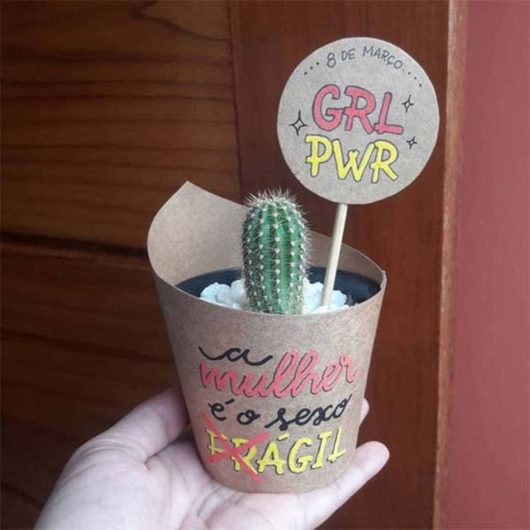 Vaso com cacto pequeno.