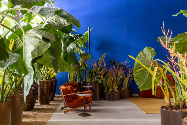 duas poltronas marrons rodeadas de plantas, em frente uma parede azul