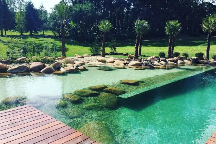 Piscina biológica em meio a um grande gramado. Perto dela, há plantas e pedras. 