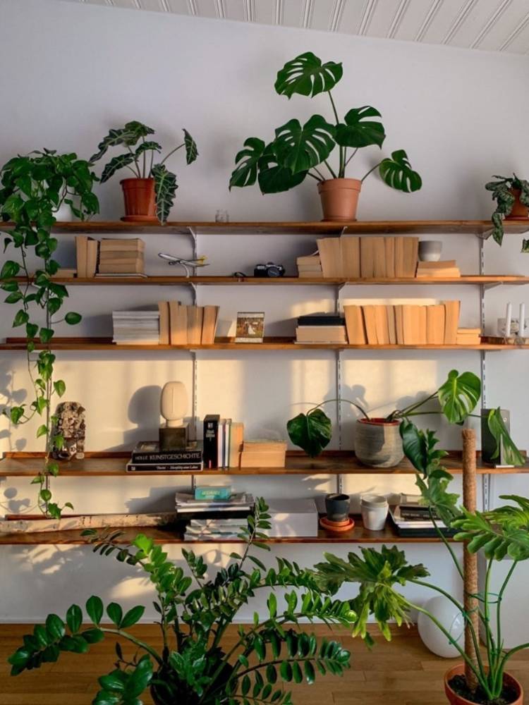 Estante de madeira com várias prateleiras, enfeitadas com livros e plantas