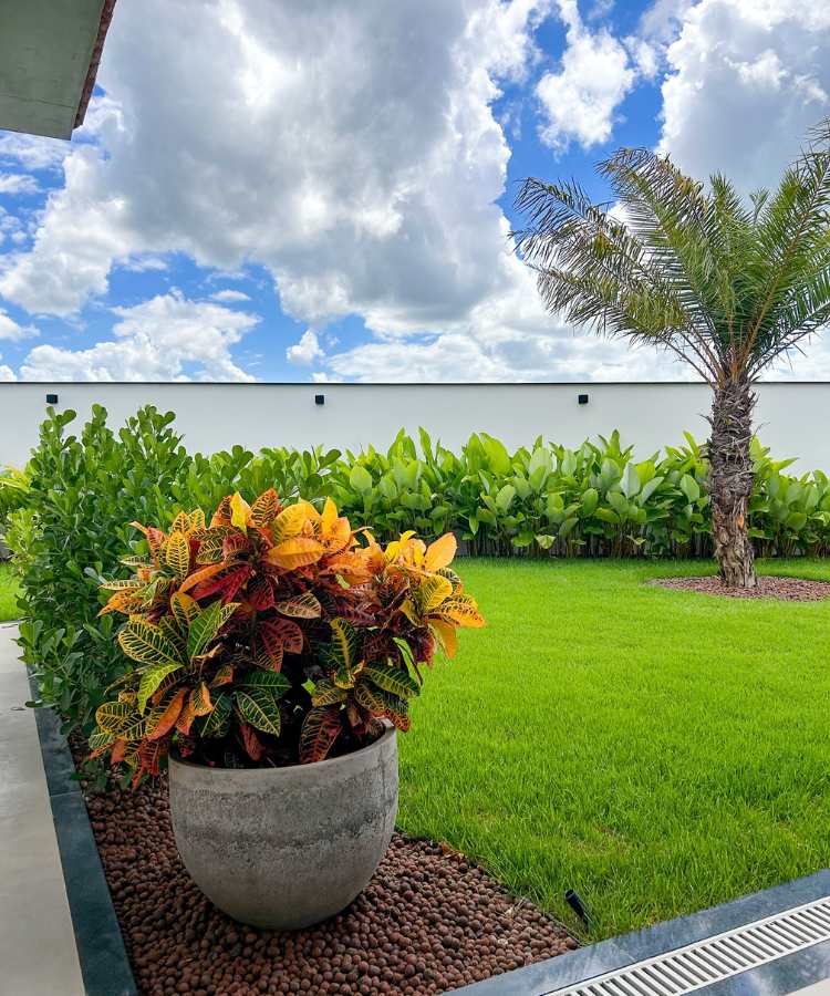 Jardim com pedra de argila