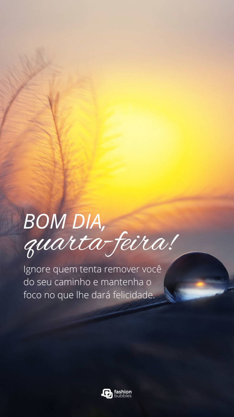 Bom dia, quarta-feira! Ignore quem tenta remover você do seu caminho e mantenha o foco no que lhe dará felicidade. Frase de bom dia de felicidade