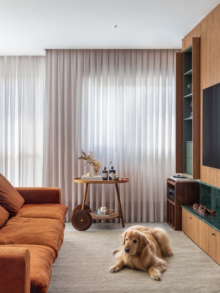 Sala de TV com sofá terracota, Golden Retriever no tapete bege e carrinho bar ao fundo 