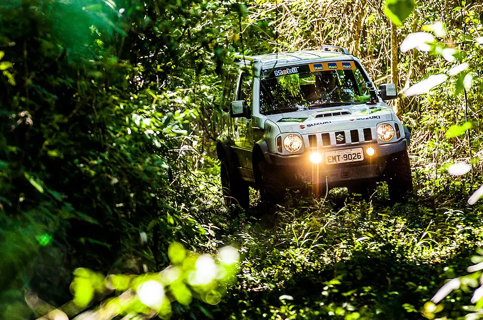 Suzuki Adventure 8