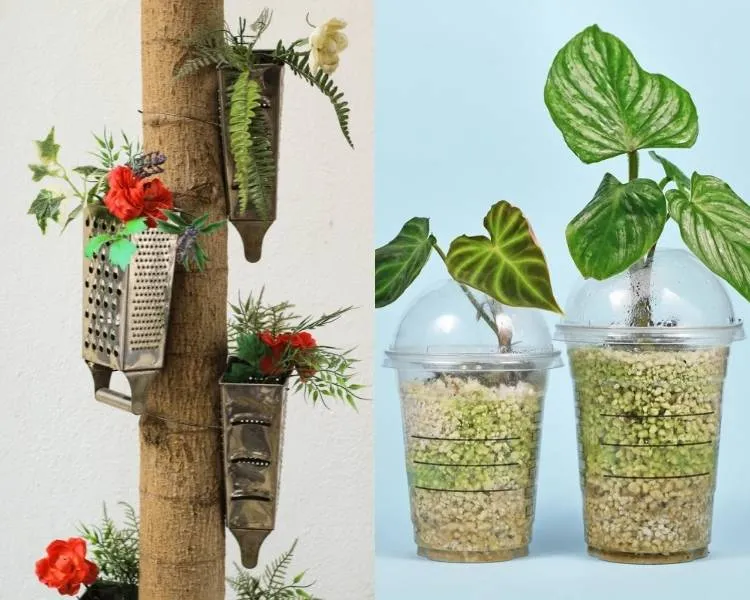 Upcycling: vasos de flor feitos de ralador e copos de milkshake. Foto upcycling: recipientes transformados em vasos de planta.