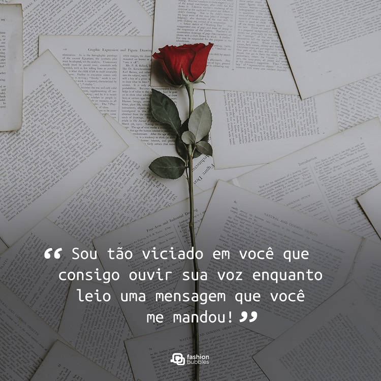 foto de rosa em cima de páginas de livro com frases de amor
