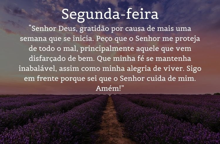 oração de bom dia sobre foto de campo de lavanda