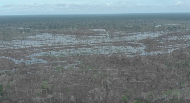 Foto de área degradada na Amazônia área desmatada floresta amazônica