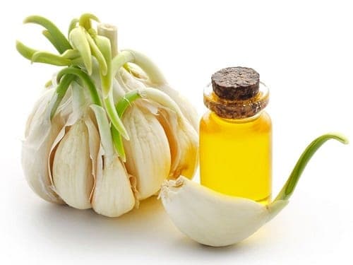 Cabeça de alho ao lado de vidro com óleo e dente de alho