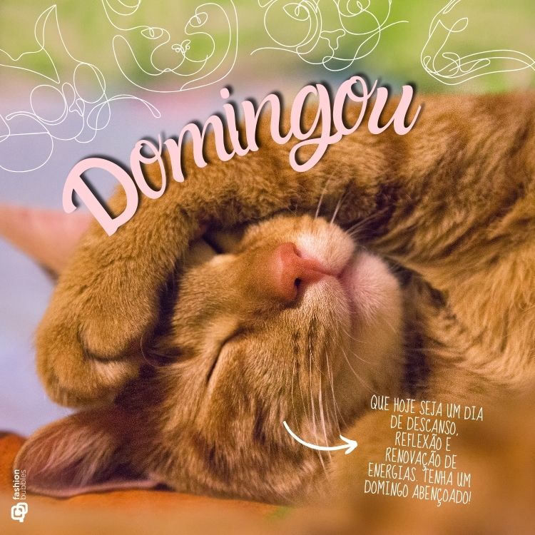 Frase de feliz domingo para WhatsApp escrita em foto de gatinho dormindo com a patinha no rosto