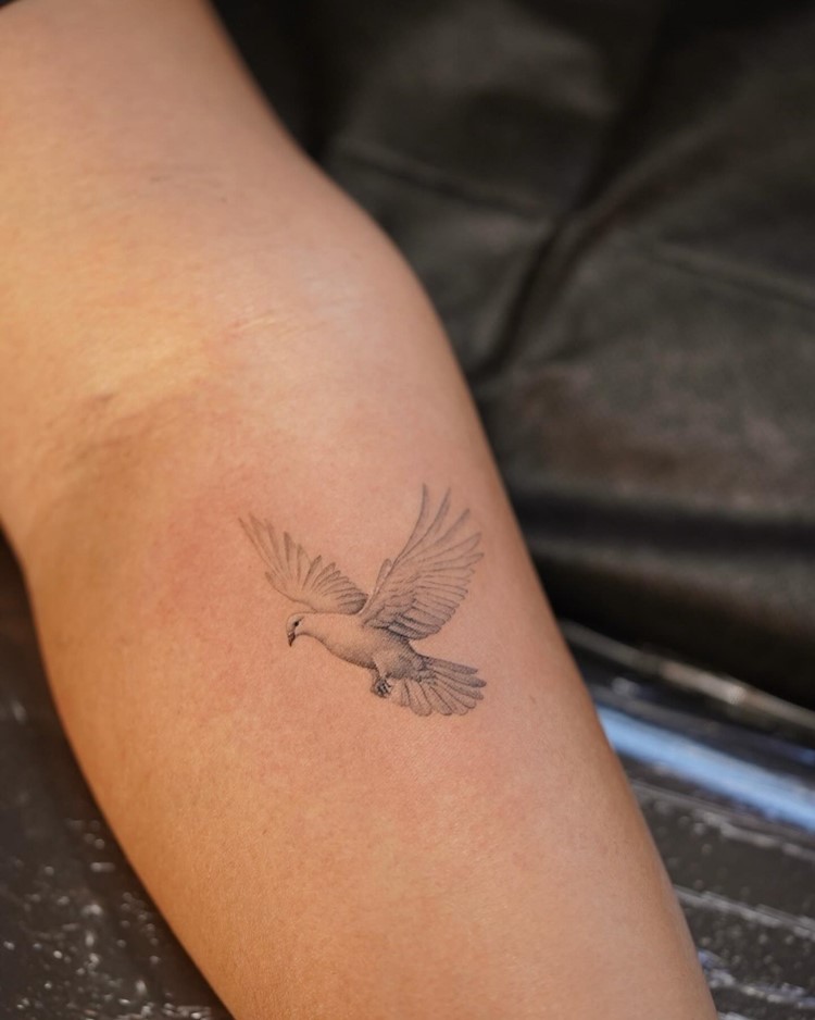A imagem exibe uma tatuagem de uma pomba no braço de uma pessoa. A pomba está desenhada em estilo realista, com asas abertas, simbolizando paz e espiritualidade. O fundo é escuro, destacando a arte delicada e detalhada. A pele ao redor da tatuagem está suave, evidenciando o trabalho artístico e o simbolismo religioso.


