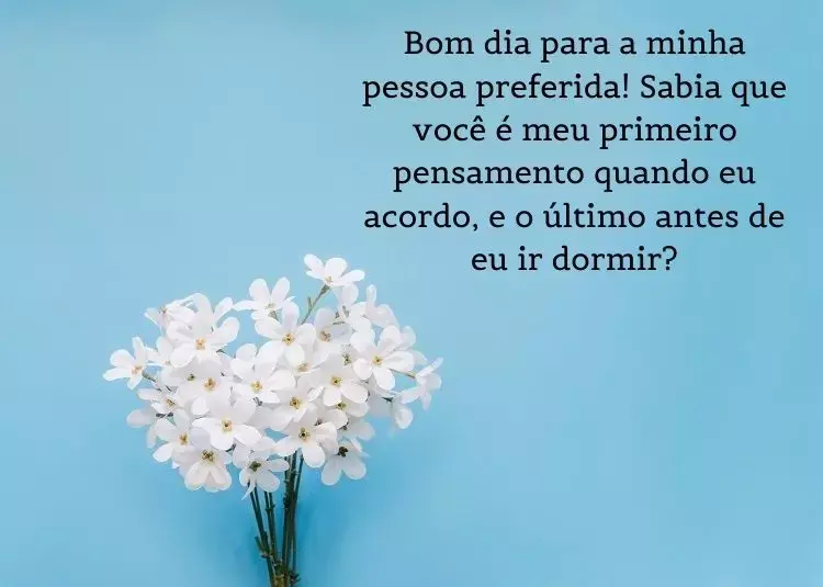 Foto de flores brancas em fundo azul e frase: Bom dia para a minha pessoa preferida! Sabia que você é meu primeiro pensamento quando eu acordo, e o último antes de eu ir dormir?