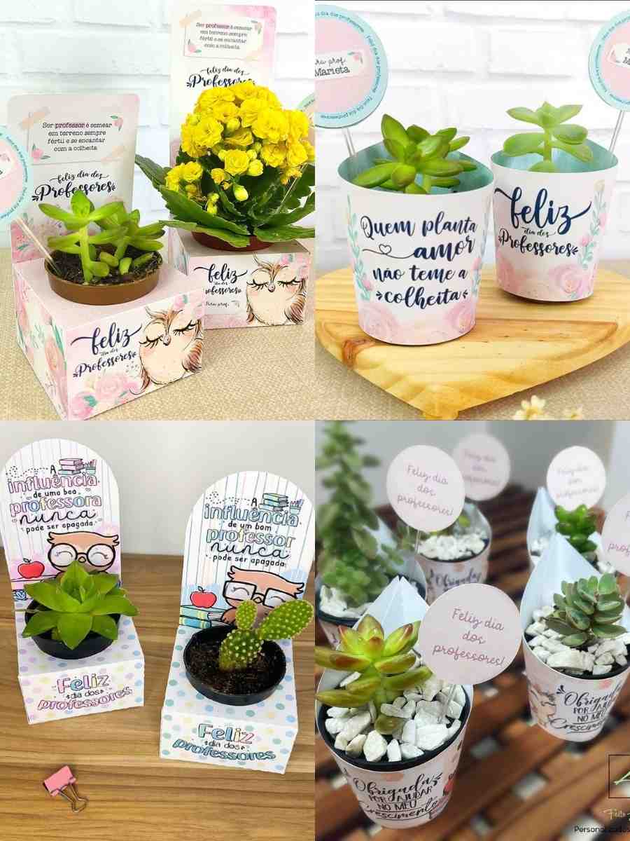 4 imagens em 1 montagem: todas têm suculentas embaladas em papel personalizado com desenho e frase sobre o Dia dos Professores: cores pastéis são predominantes.
