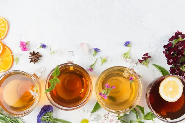Foto de diversas xícaras transparentes com chás e flores e ervas ao redor