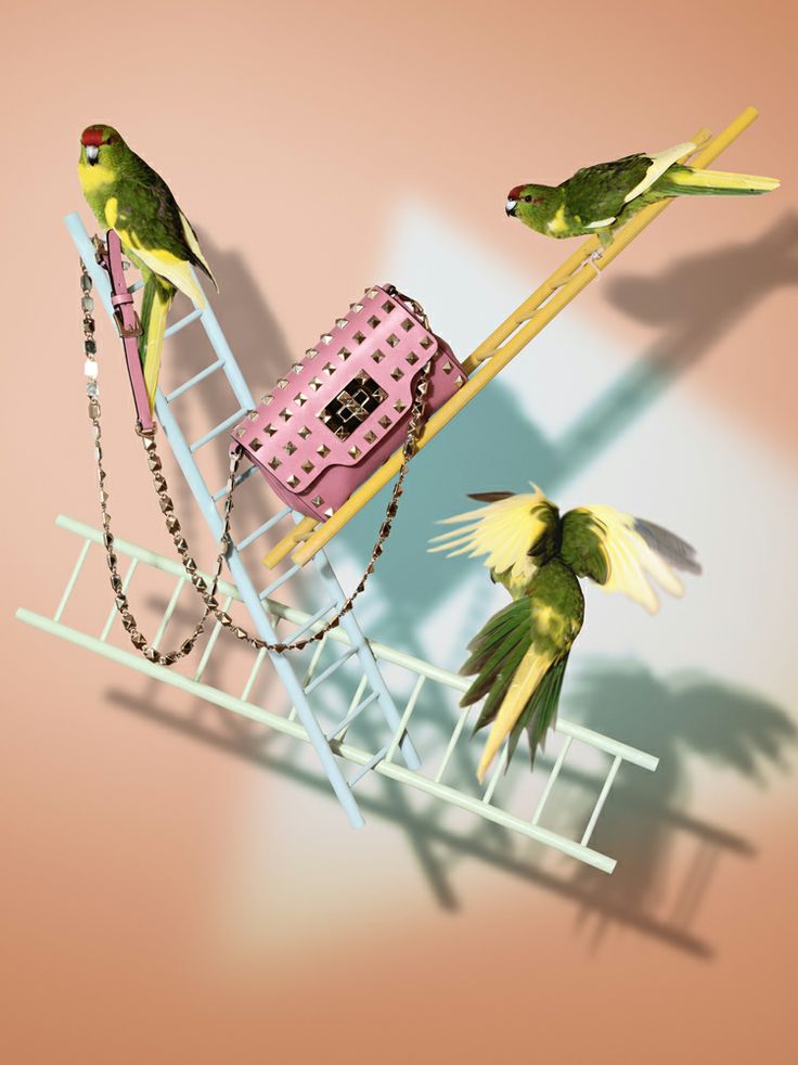 Armin Zogbaum, Cocoon, Stills, Handtaschen, Handbags, Birds, Vögel, Papagai