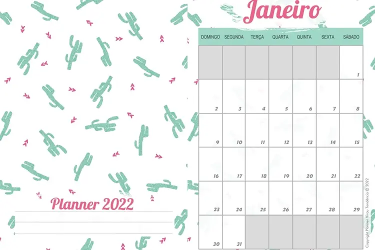 Foto de calendário com capa de cactos.