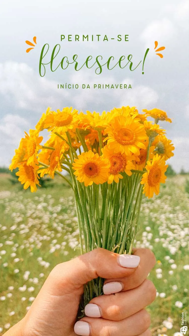 Frase sobre primavera escrita em foto de ramo de margaridas amarelas