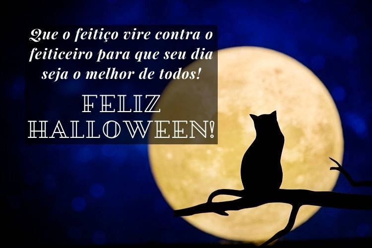 Foto de gato em galho à luz do luar e frase "Feliz Halloween! Que o feitiço vire contra o feiticeiro para que seu dia seja o melhor de todos!"