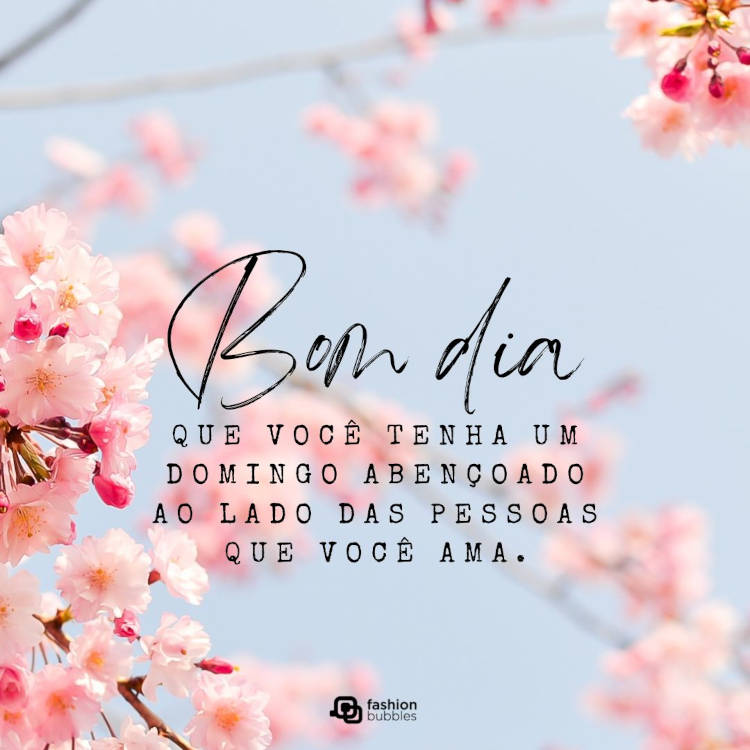 Mensagem de bom dia carinhoso escrita sobre foto de flores de cerejeira 
