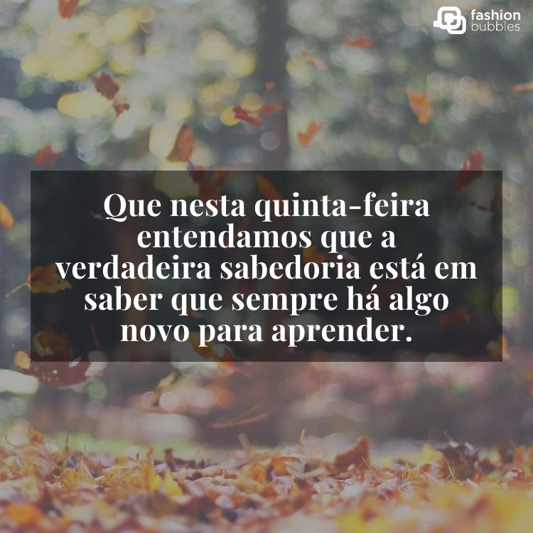 Foto desfocada de folhas amareladas caindo com frase "Que nesta quinta-feira entendamos que a verdadeira sabedoria está em saber que sempre há algo novo para aprender."