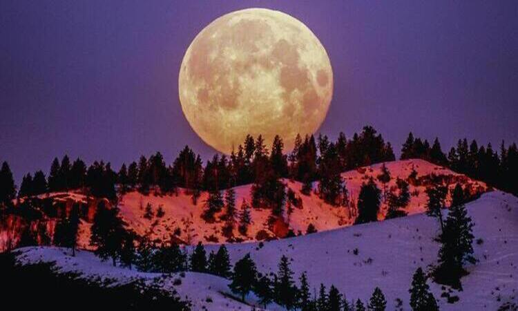 lugar com árvores e neve na lua cheia