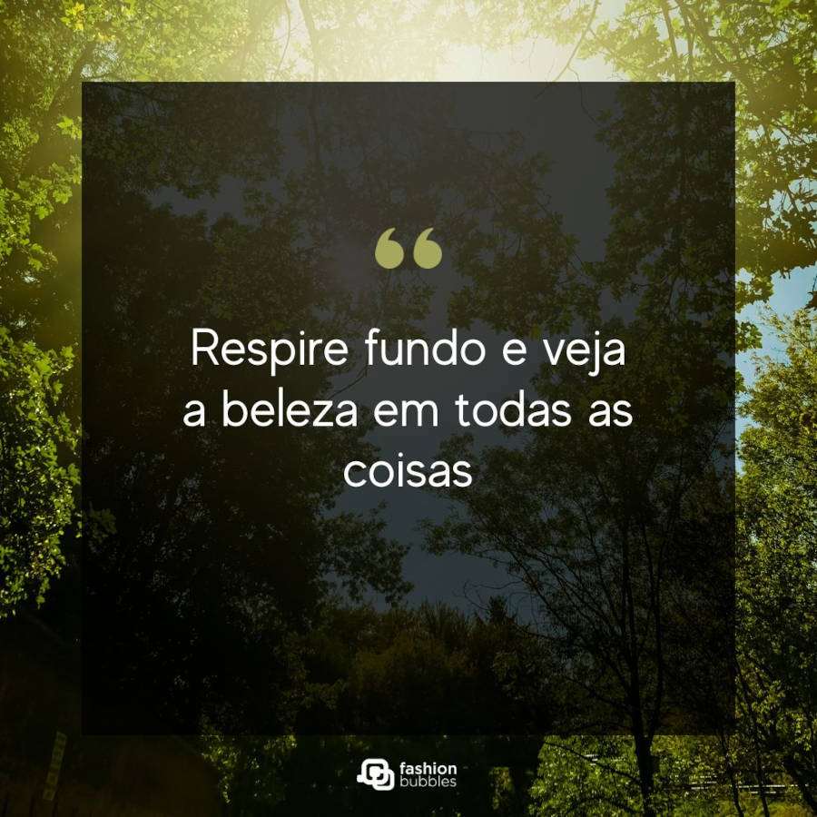 Frase para selfie com paisagem: Respire fundo e veja a beleza em todas as coisas
