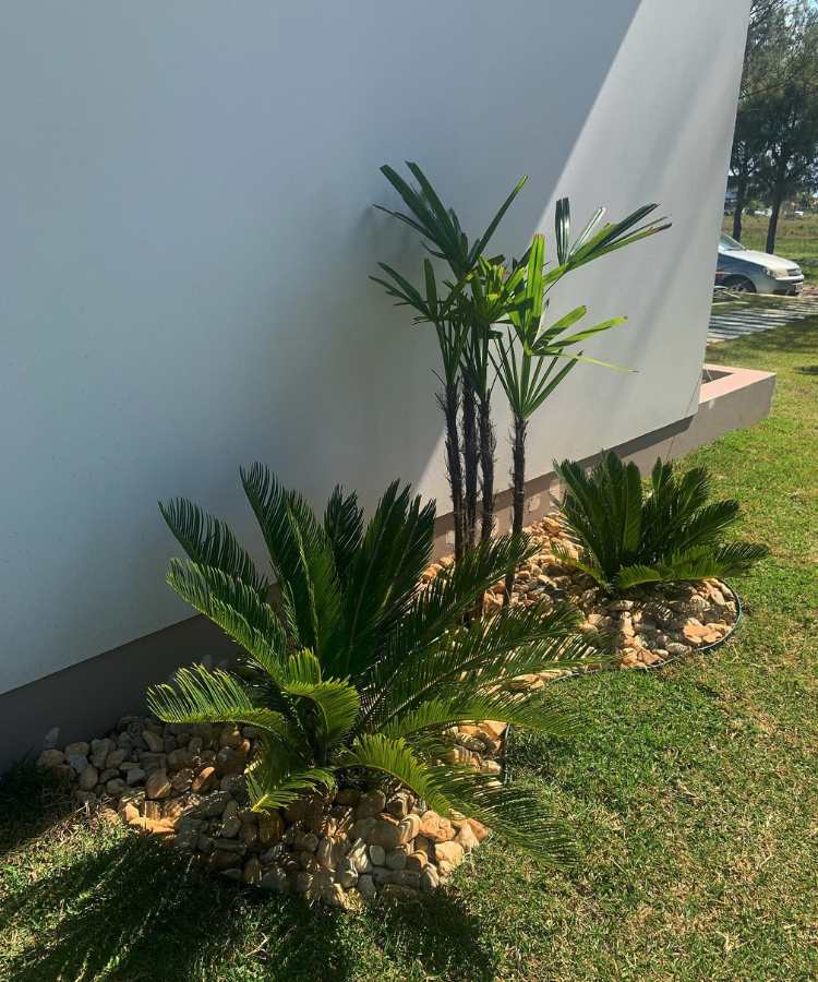 Pequeno jardim com pedra seixo de rio simples