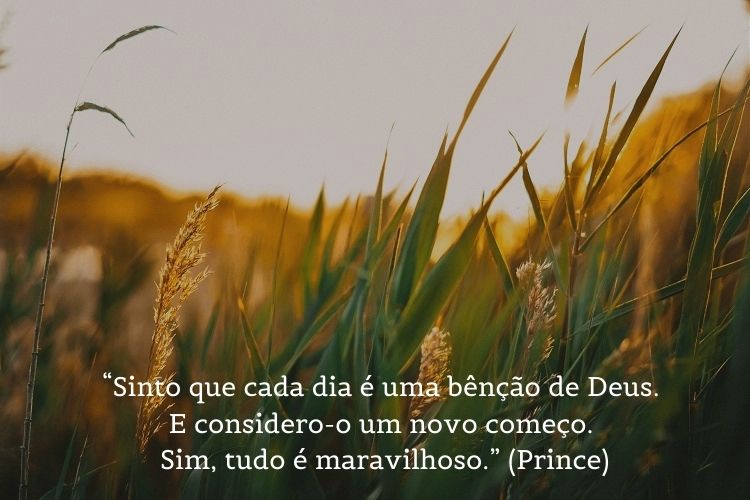 foto de plantas e frase: “Sinto que cada dia é uma bênção de Deus. E considero-o um novo começo. Sim, tudo é maravilhoso.” (Prince)