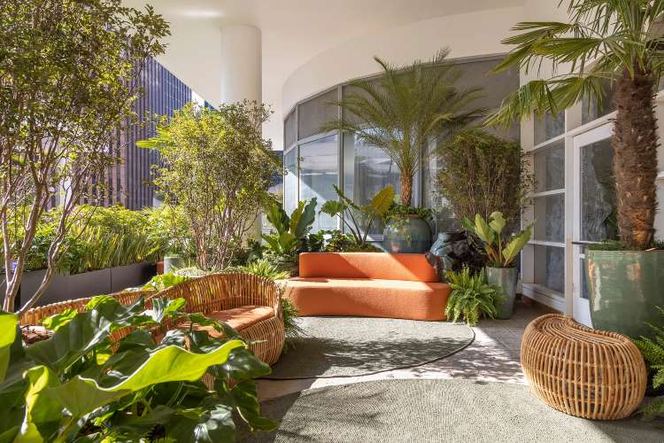 Plantas exóticas e plantas nativas no Paisagismo de Catê Poli e João Jadão no CASACOR 2023